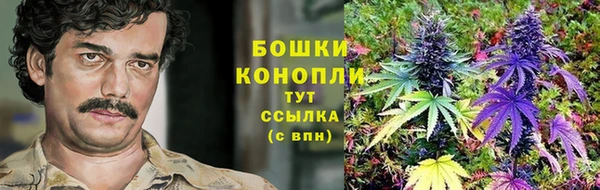 трава Зеленокумск