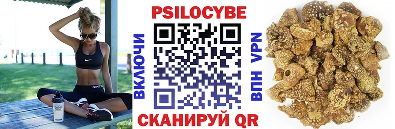Купить  Поворино  Псилоцибиновые грибы Psilocybine cubensis 